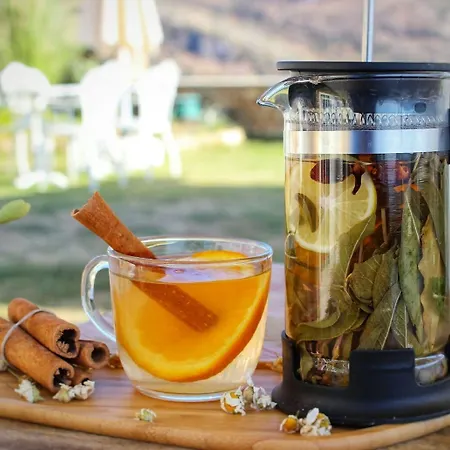 מלון Vinifera Ephesus סלצ'וק