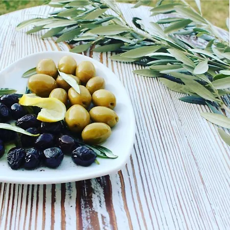 Vinifera Ephesus מלון 3*