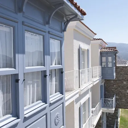 Vinifera Ephesus 3* Сельчук