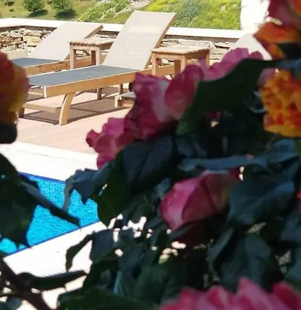Отель Vinifera Ephesus Сельчук