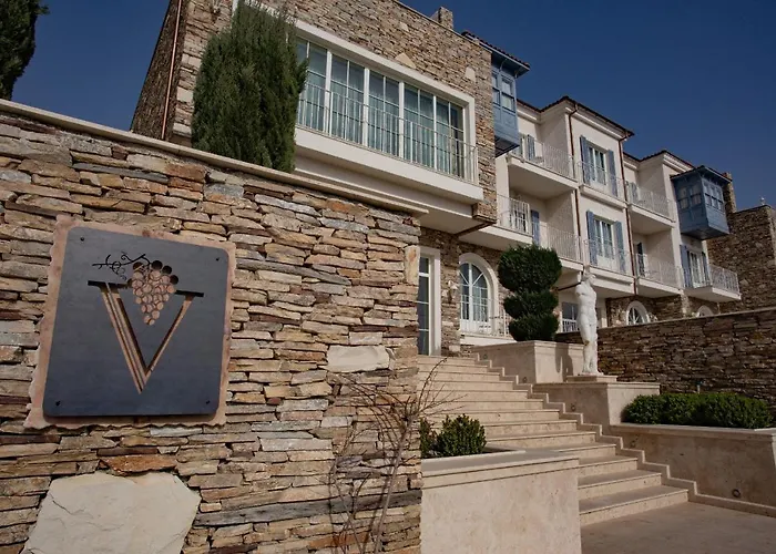Hotel Vinifera Ephesus 3*